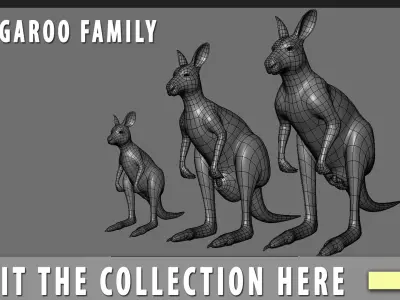 Kangaroo Male BaseMesh Low-poly 3D model