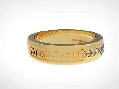 Ring Lord Save And Keep Me 3D print model