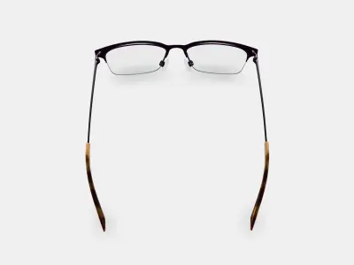 James Eyeglasses in Carbon 3D model