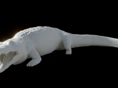 Crocodile Low-poly 3D model