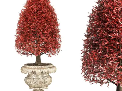 Outdoor Plant 06  Neoclassical Style 3D model