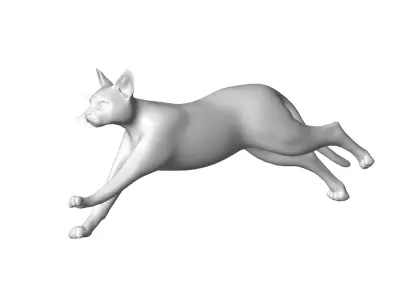 Cat  - 3D model get