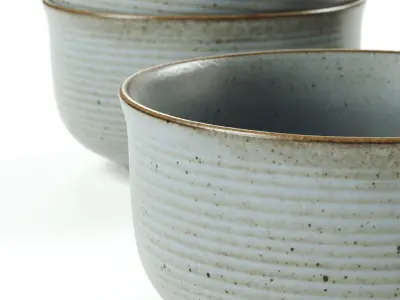 POLYPASTA -Thomas Nature - bowl 13 cm - water 3D model