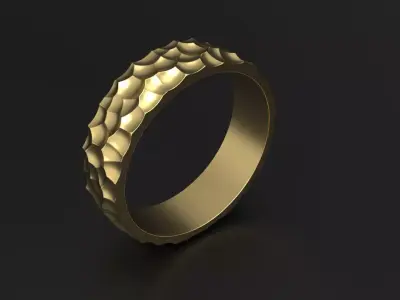 SANJ Ring 01 Free 3D print model