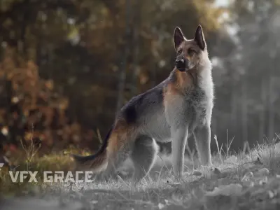 German Shepherd Rigged 3D model