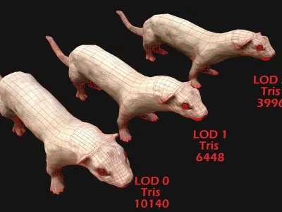 Weasel Ermine Low-poly 3D model