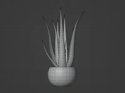 Aloe Vera 3D model