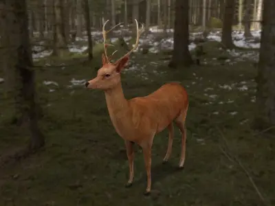 low poly deer rigged  Low-poly 3D model