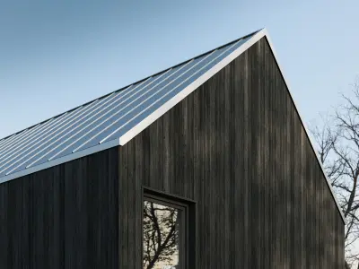 Burned wood wall cladding texture 3D model