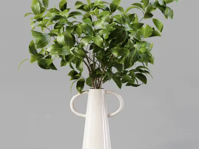 Collection Indoor Plants 01 3D model