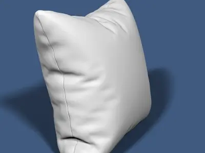 Pillow 48 3D model