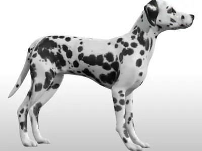 Dalmatian Rig Low-poly 3D model
