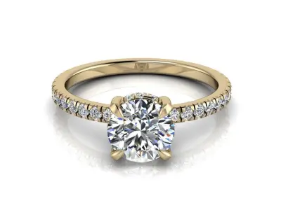 Engagment Jewelry Ring 205 3D print model