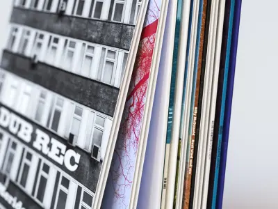 A few vinyls 3D model