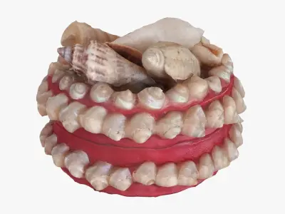 Box with seashells Low-poly 3D model