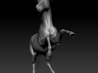 Horse Zbrush Sculpt and Decimated obj 3D model