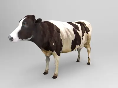 Black White Cow  Low-poly 3D model