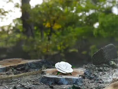 forest product setup 3D model