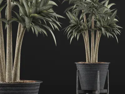 Plants Collection 117 3D model