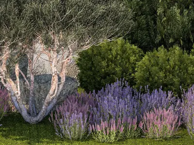 Garden with thuja trees and pine topiary lavender bushes 3D model