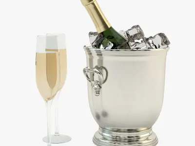 Cooling Champagne 3D model
