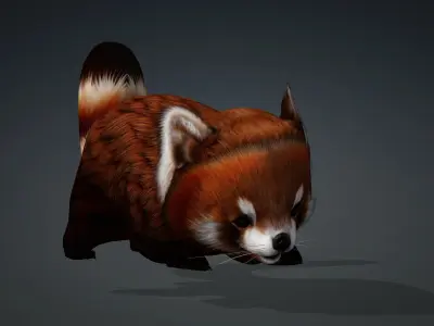 Red Panda-A2 3D model