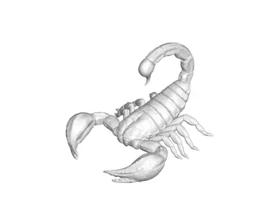 Scorpion 3D model