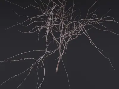 Thin Branch Low-poly 3D model