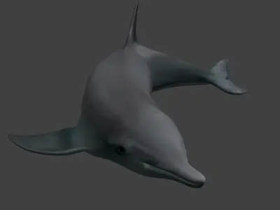 Dolphine dolphin Low-poly 3D model