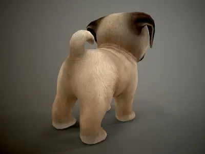 Pug Mops Low-poly 3D model