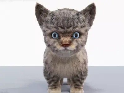Fur Cute Cat kitten Gray No Rig Low-poly 3D model