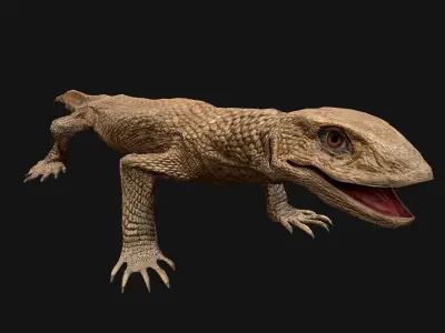 Varan Lizard Reptile Monster Low-poly 3D model