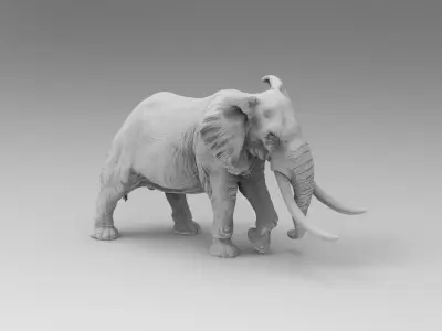 Elephant 3D model
