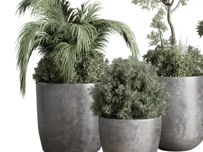 set Outdoor Indoor plant  concrete dirt vase pot tree bush palm 3D model