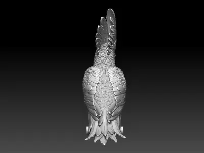 parrot  cacadu 3D print model