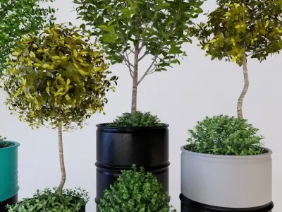 Barrel with trees 3D model