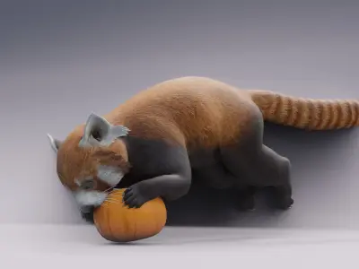RedPanda animated 3D 3D model