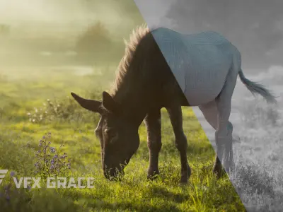 Donkey Summer UE Character Asset 3D model