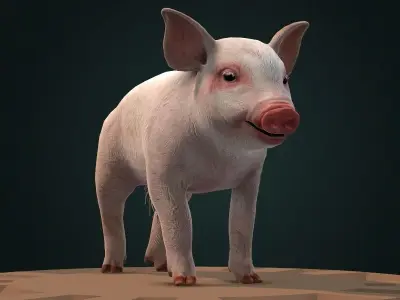 Pig Piglet model 3D model