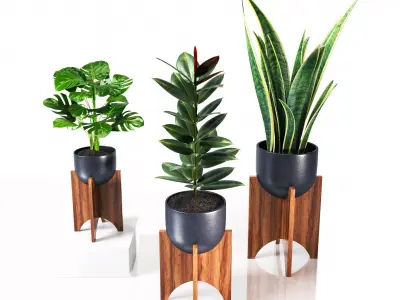 plant collection set 03 3D model