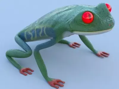 Red Eyed Tree Frog Low-poly 3D model