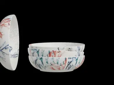 Sea Adventure Dinner Bowls Low-poly 3D model