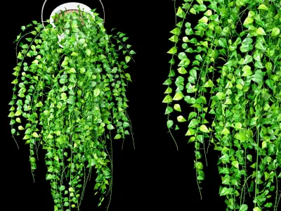 Hanging Plant Pot Set 3D model