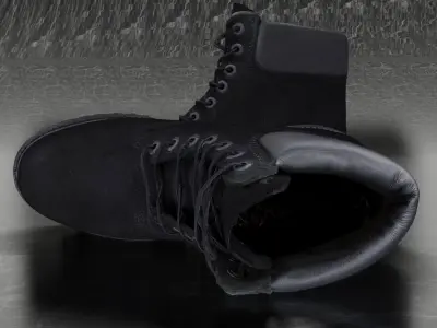 TIMBERLAND 3D SHOES -  BLACK  Low-poly 3D model