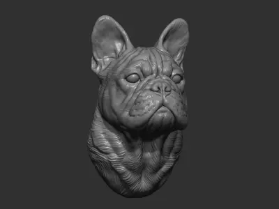 French bulldog bust 3D print model