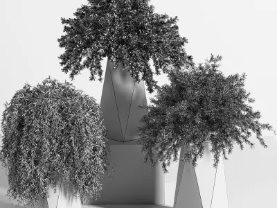 Indoor Plant set 08 3D model