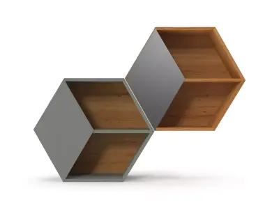 Shelving hexagonal bookcase with two shelves Free 3D model