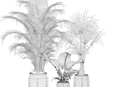 Plants collection 086 3D model