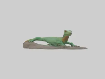 Lacerta Lizard resting model Low-poly 3D model
