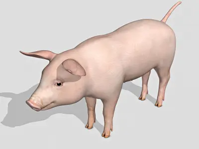 Pig and Piglet 3D model